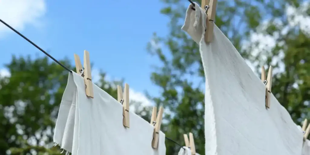 The Ultimate Guide to Laundry the Gardens: Best Practices and Tips